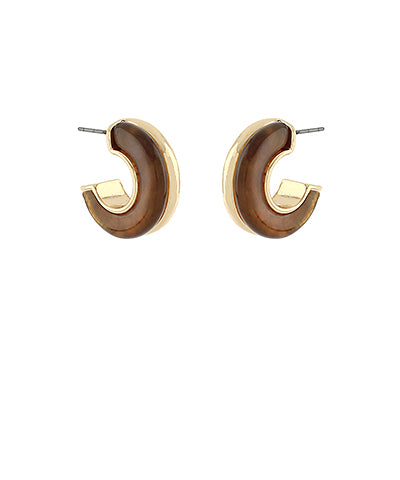Brown Acrylic and Metal Hoops