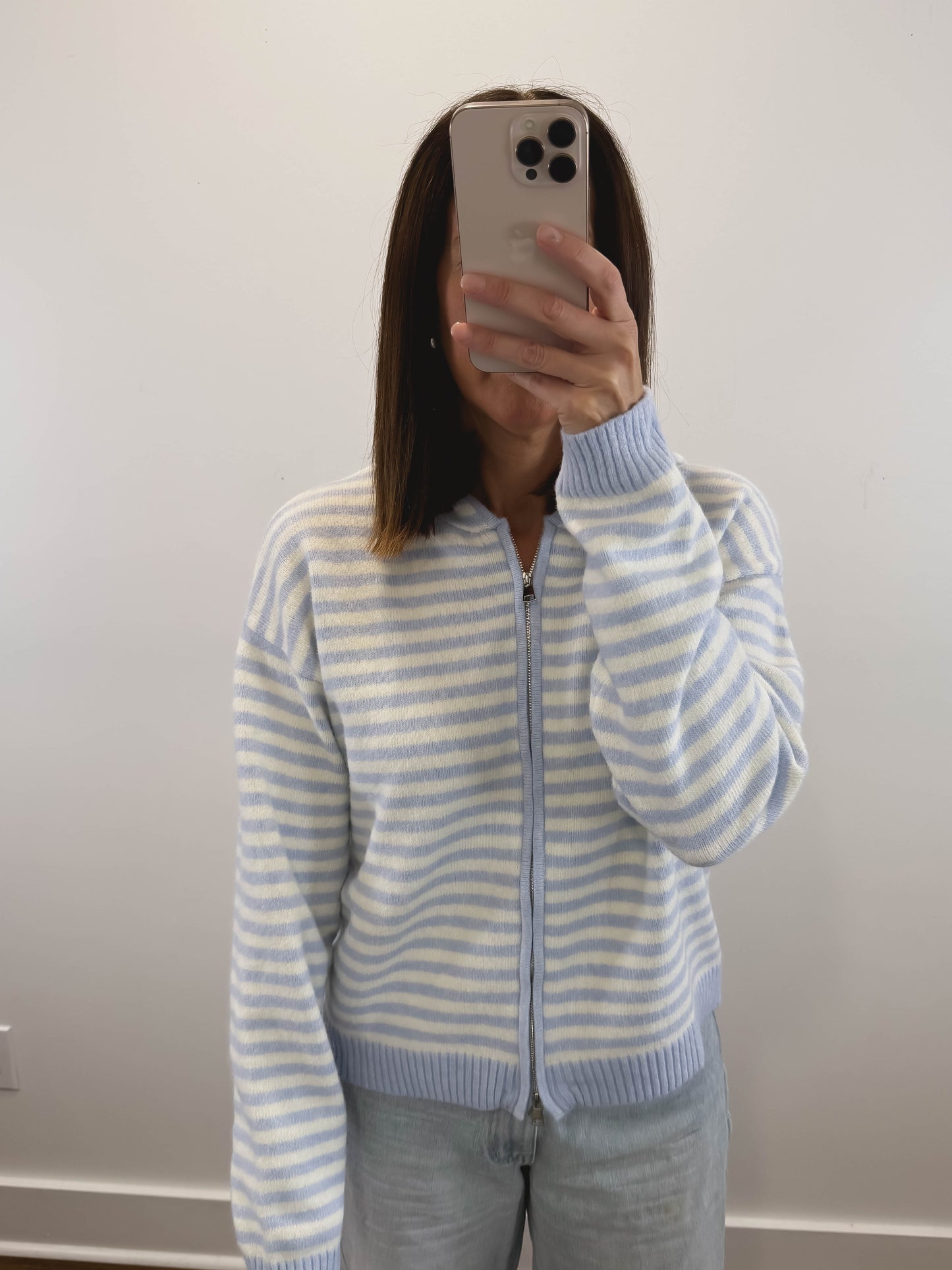 The Regatta Striped Zip Hoodie in Light Blue/White