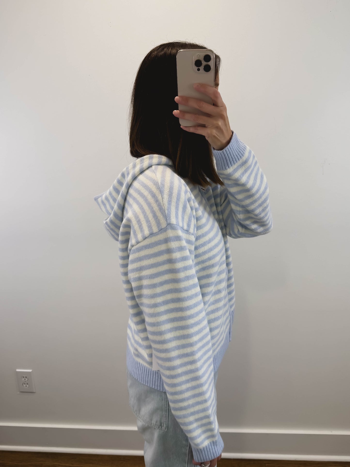 The Regatta Striped Zip Hoodie in Light Blue/White