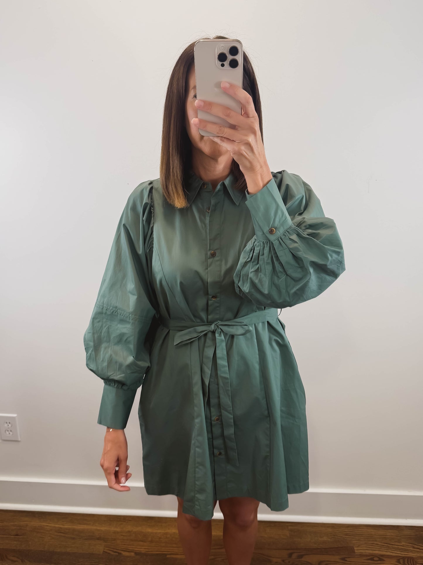 The Sagebrook Dress | Sage Green Mini Shirt Dress