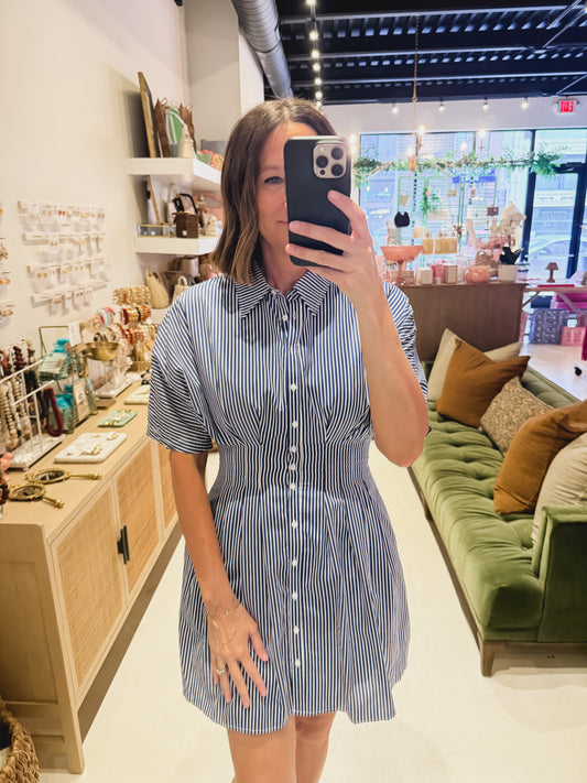 The Blue Striped Dress