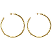 Load image into Gallery viewer, Everybody&#39;s Favorite Hoop Earrings